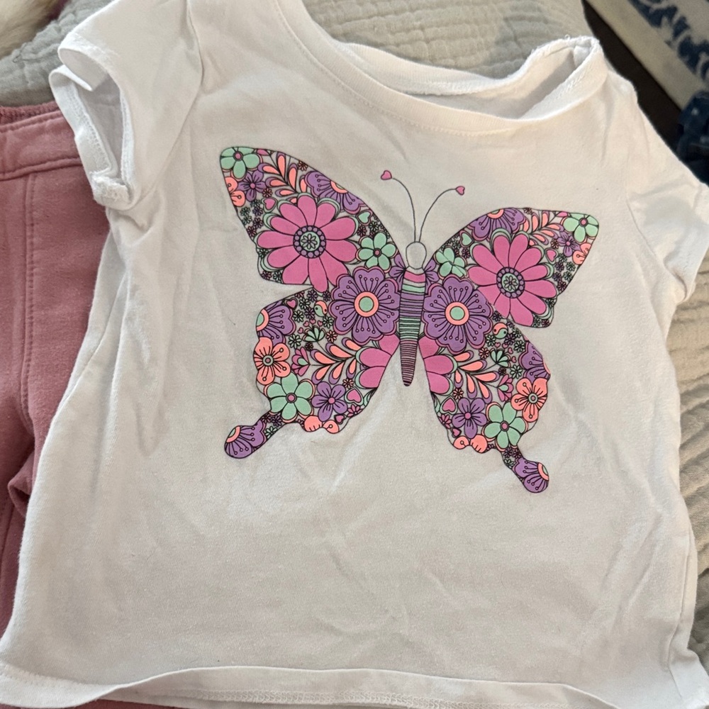 Children’s Place- Floral Butterfly Kids T-Shirt and pants